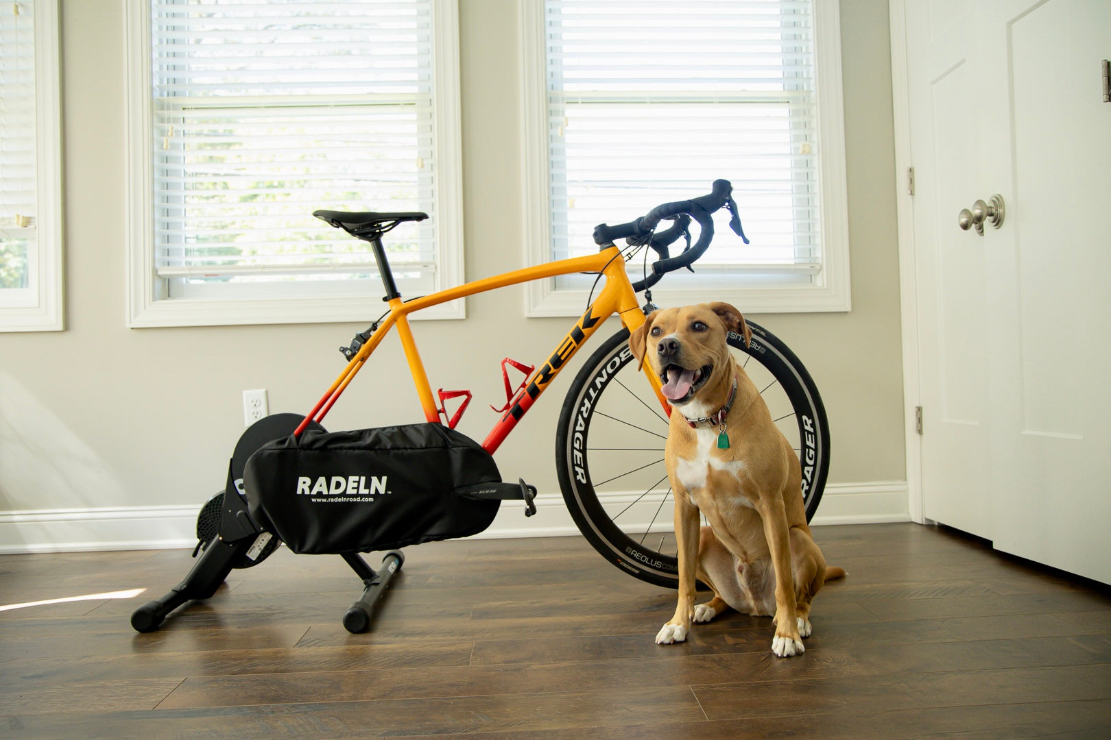 Drivetrain Cover